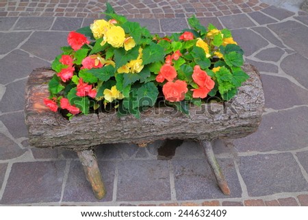Vivid flowers in traditional wooden pot on the sidewalk