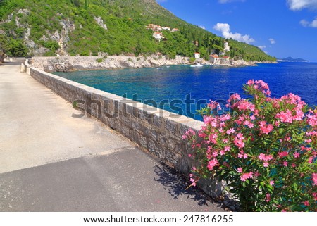 Sunny road decorated with Mediterranean vegetation along Adriatic sea, Trsteno, Croatia
