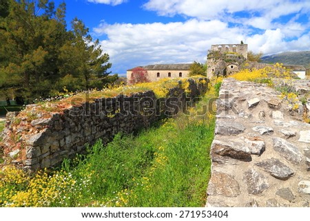 Spring vegetation on long walls of Byzantine fortress, Ioanina, Greece