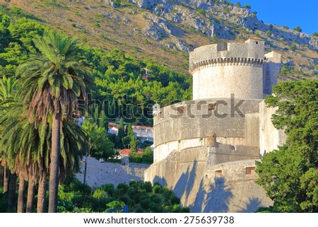 Palm tree near strong bastion defending the old town of Dubrovnik, Croatia