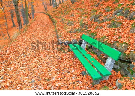 Empty bench in autumn forest with the ground covered by fallen leaves, Karlovy Vary, Czech Republic