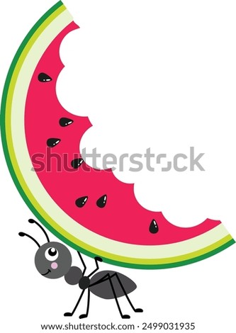 Cute ant carrying a slice of eaten watermelon
