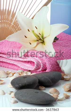 madonna lily spa stones fun and sea shell on white