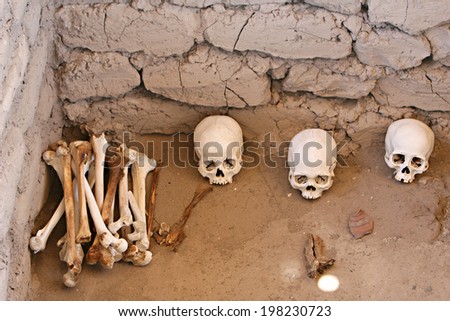 Skulls and bones in Chauchilla, an ancient cemetery in the desert of Nazca, Peru. The remains of many people, some still with long hair, can be seen.