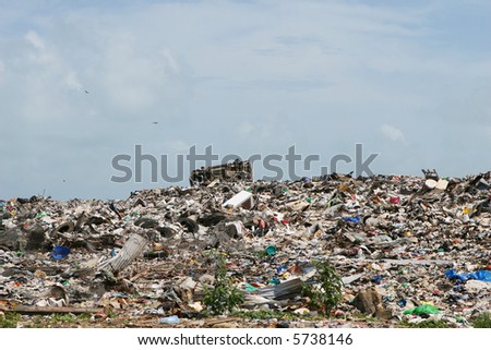 A roadside dump is a common site in Central America. This one is just outside of Belize City.