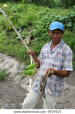 A man sells illegal exotic animals on the roadside in Central America