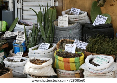 A witches market in Peru featuring Horses Tail, aloe, and other items used for medicinal purpose