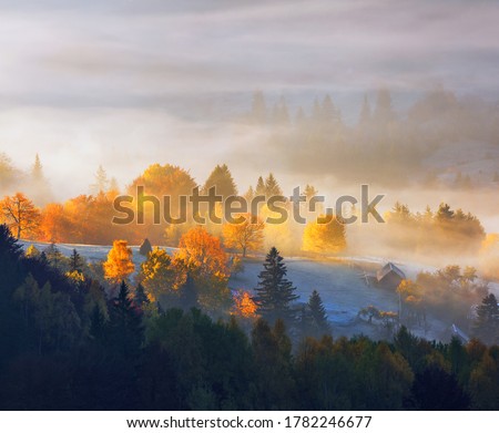 Autumn rural landscape. Natural landscape. The lawn is enlightened by the sun rays. Fantastic scenery with morning fog. Green meadows in frost. Picturesque resort Carpathians valley, Ukraine, Europe. Foto stock © 