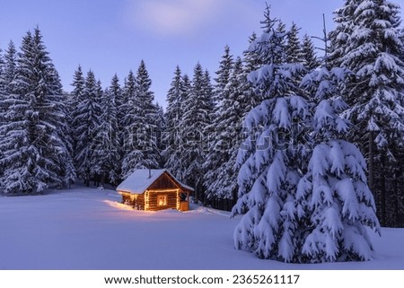 Similar – Image, Stock Photo Snowed in are paths, streams, bridges and forests. A pack of deer is looking for food and water.