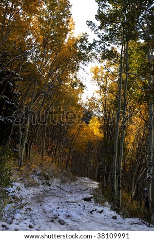 High mountain road in the fall showing all the fall colors and snow