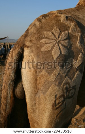 Camel Costume Pattern вЂ“ Catalog of Patterns