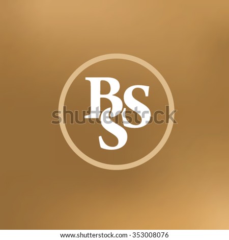 BSS logo concept