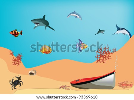 underwater landscape sand