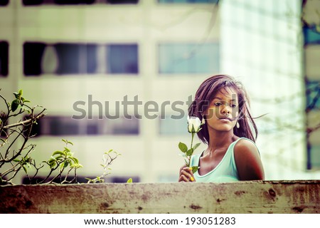 Love Story. Holding a white rose, hair floating in the wind, a young pretty black woman is standing behind the top of a wall, sad, lost in thought. Instagram effect.