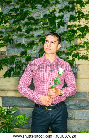 Strong man seeking for love. Wearing red patterned, long sleeve shirt, black pants, wristwatch, young guy standing against wall with ivy leaves, hands holding white rose, looking up, wishing, hoping.