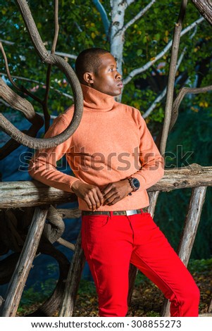 Waiting for You day by day. Man Autumn/Winter Casual Fashion. Wearing knit swear with high collar, an African American guy standing by trees on park in New York, looking around. I missing you.