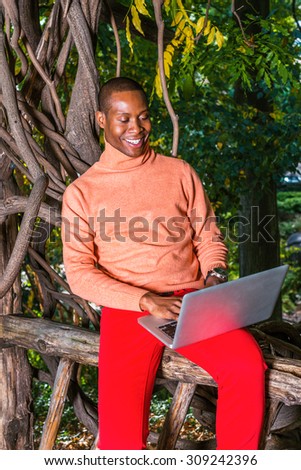 Businessman enjoying working outside. Dressing in light orange knit sweater with high collar, red pants, an African American guy sitting by trees in New York, working on laptop computer, thinking.