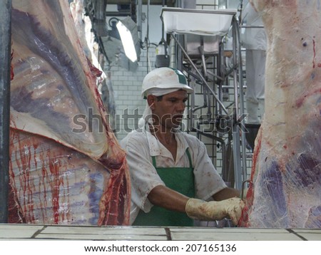 SAO PAULO, BRAZIL, MARCH 09, 2006. Meat processing in food industry