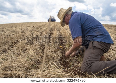 Parana, Brazil, December 08, 2009: Farmer in tractor sowing crops at field with seed scattering agricultural machine and another farmer checks planting in field.
