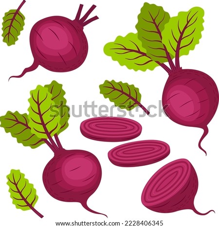 Set of ripe beets, halves, slices and leaves. Vector illustration in flat style isolated on white background.