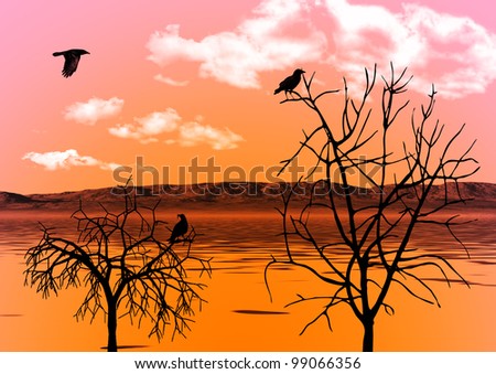 The evening sky reflected in water and ravens on trees