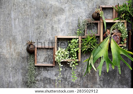 wood frame with some plant on the wall decoration