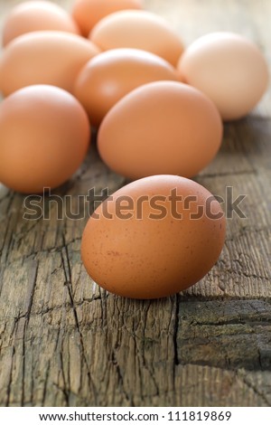 Chicken brown eggs