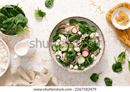 Similar – Image, Stock Photo Herbs and salad in a raised bed. More vegetable beds in the background Gardening