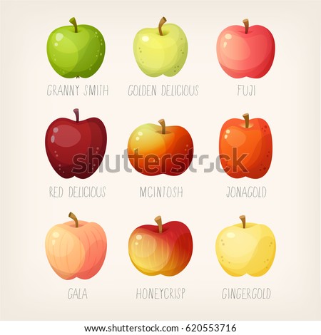 Set of apples with names. Variety of fruit for different purposes. 
