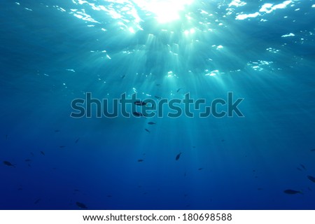 Water surface and sunlight in the open water of the ocean