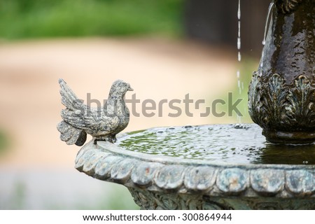 little bird on fountain