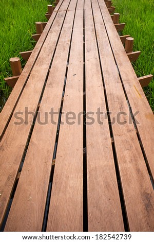 Wood decking narrow path over the green grass