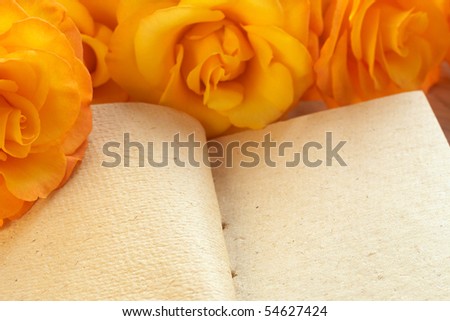 Bouquet of yellow roses on empty pages of a book with copy space