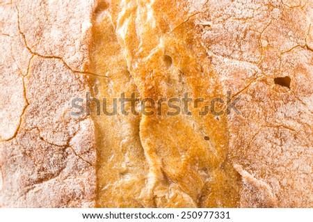 Loaf of traditional Italian bread ciabatta for background
