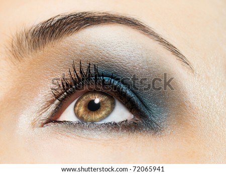 the macro image of the beauty eye