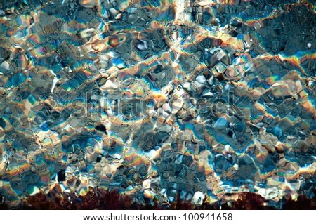 aqua background - stones shells and sand on the sea bed, ripples, sunbeams, and algae.