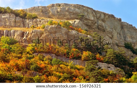 Autumn Forest on rocky Mountain hill colorful seasonal Landscape Saving Nature ecology concept