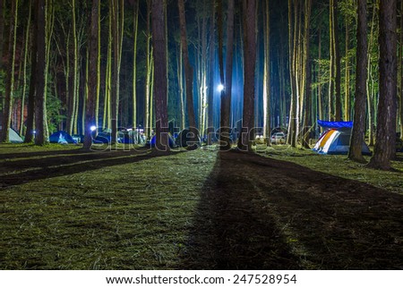 recreational camping tents with silhouetted of the alpine trees on natural forrest after dark night