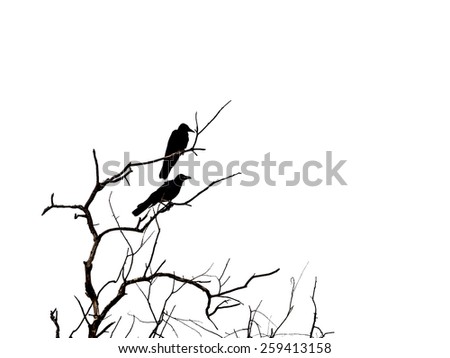 Silhouette branch of dead tree and crow isolated on white