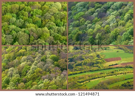 Different forest view from above.