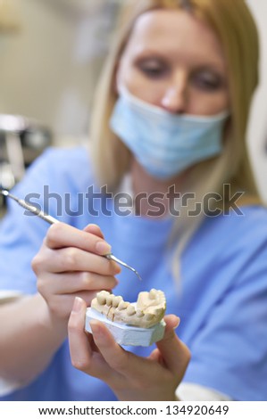 Dentist woman with the teeth model