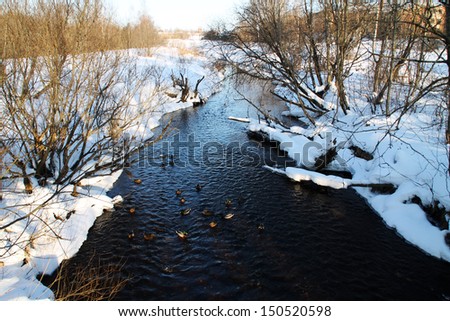 Winter river with dark water. snow bank. duck