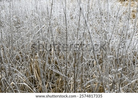 Similar – Image, Stock Photo neighborhood Hamburg