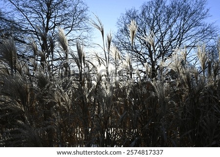 Similar – Image, Stock Photo neighborhood Hamburg