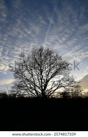 Similar – Image, Stock Photo neighborhood Hamburg