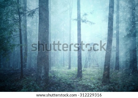 Rainy and snowy day in wild forest landscape with hunting tower. Deer and other wildlife hunting tower in magic foggy woodland.
