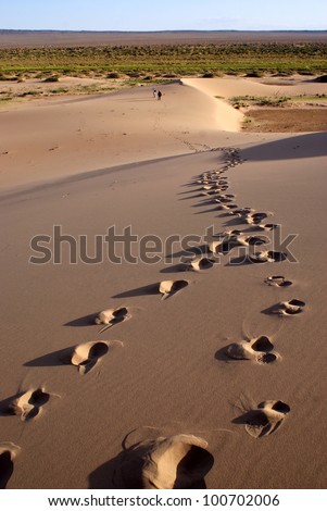 Desert landscape of gobi desert with footprint in the sand, Mongolia