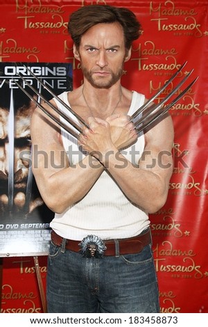 Wax figure of Hugh Jackman as Wolverine inside for Hugh Jackman as Wolverine Wax Figure Manicured, Madame Tussauds New York, New York, NY September 4, 2009