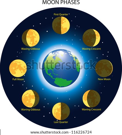 Basic Phases Of The Moon. Stock Vector Illustration 116226724 ...