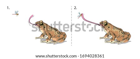 Shutterstock Puzzlepix